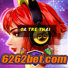 gà tre thái