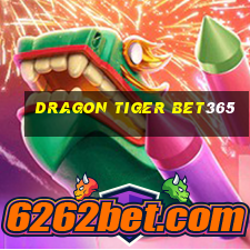 dragon tiger bet365