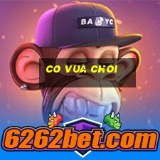 co vua choi