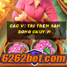 các vị trí trên sân bóng chuyền