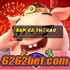 ban ca thẻ cào