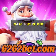 câu đố mẹo vui