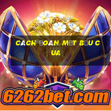 cách đoán mặt bầu cua