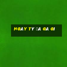 ngày tý đá gà gì