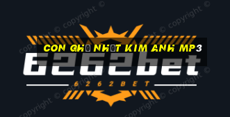 con ghẻ nhật kim anh mp3