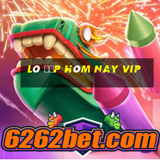 lô đẹp hôm nay vip