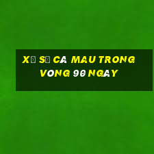 xổ số cà mau trong vòng 90 ngày