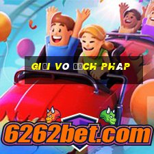 giải vô địch pháp