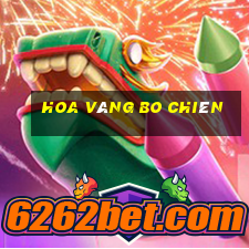 Hoa vàng Bo chiên