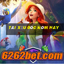 tài xỉu góc hôm nay