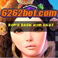 rong bach kim chat