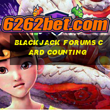 blackjack forums card counting