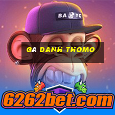 gà danh thomo