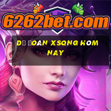 Dự đoán XSQNG hôm nay