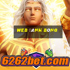 web đánh bóng