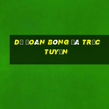 Dự đoán bóng đá trực tuyến