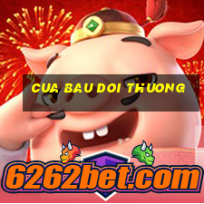 cua bau doi thuong