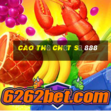 cao thủ chốt số 888