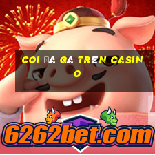 coi đá gà trên casino