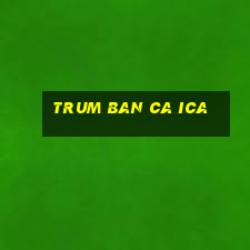 trum ban ca ica