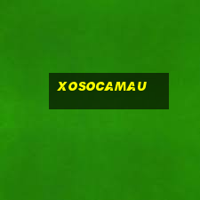 xosocamau