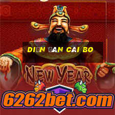 Diễn đàn Cái Bo