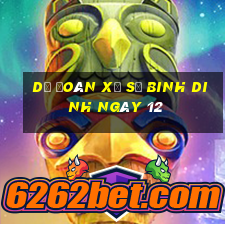 Dự Đoán Xổ Số binh dinh ngày 12