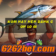 hom nay nen danh con lo gi