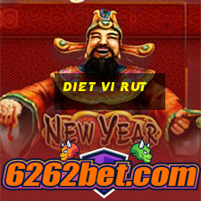 diet vi rut