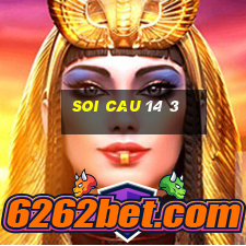 soi cau 14 3