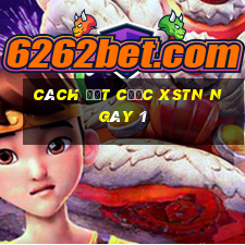 Cách đặt cược XSTN ngày 1