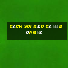 cách soi kèo cá độ bóng đá