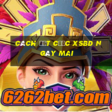 Cách đặt cược XSBD ngày mai