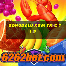 bongdalu xem trực tiếp