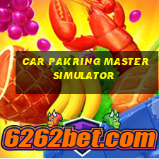 car pakring master simulator