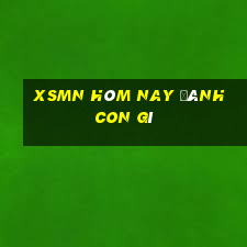 xsmn hôm nay đánh con gì