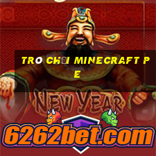 trò chơi minecraft pe