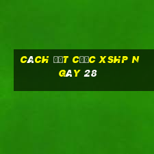 Cách đặt cược XSHP ngày 28