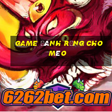 game đánh răng cho mèo