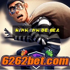 hinh anh de gea