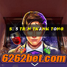 số 5 trần thánh tông