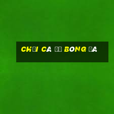 chơi cá độ bóng đá