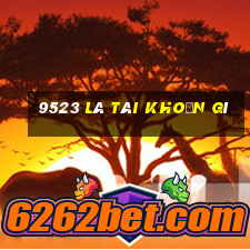 9523 là tài khoản gì