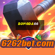 bongda66