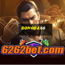 bongda66