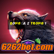 bóng đá 2 trong 1