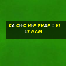 cá cược hợp pháp ở việt nam