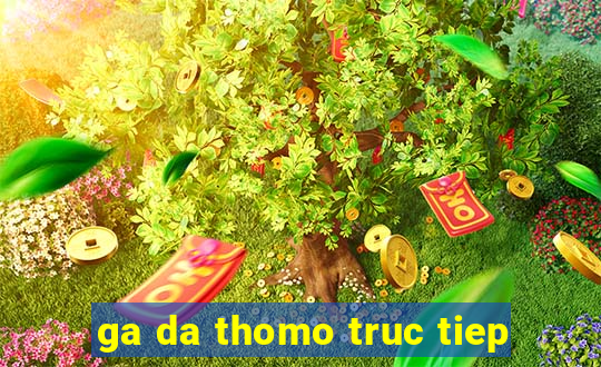 ga da thomo truc tiep