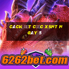 Cách đặt cược XSNT ngày 5