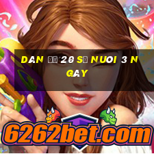 dàn đề 20 số nuôi 3 ngày